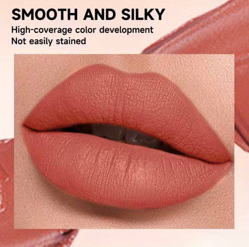 Nude lipstick set close-up van alle 12 tinten
